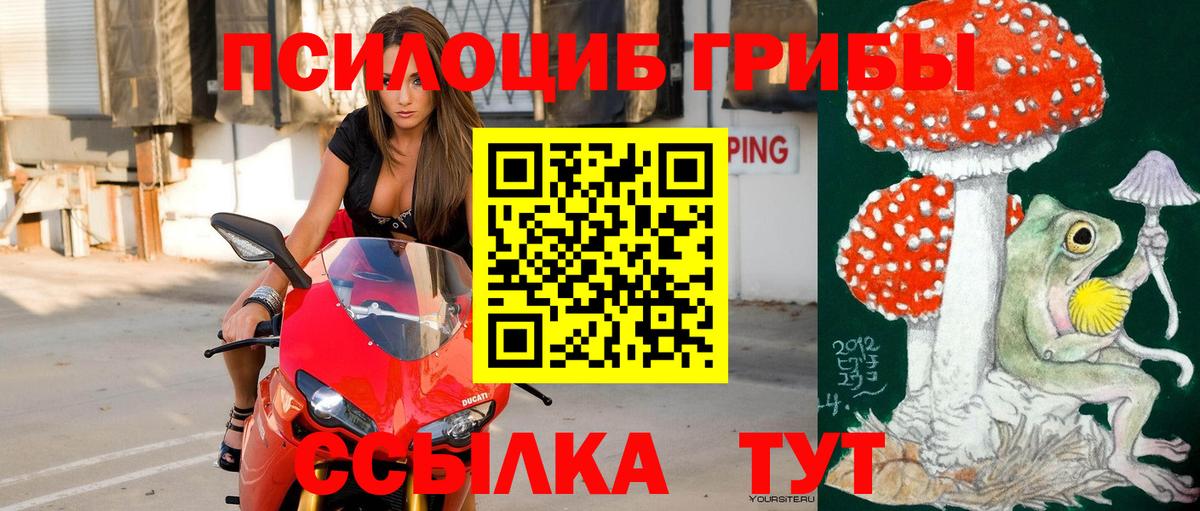 Псилоцибиновые грибы Psilocybe  Вход с VPN  Алексин 